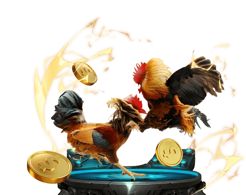 Ưu đãi hoàn trả hàng ngày